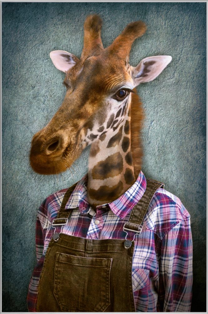 image LAND Bild mit Rahmen Giraffe mit Latzhose  | Schubiger Möbel