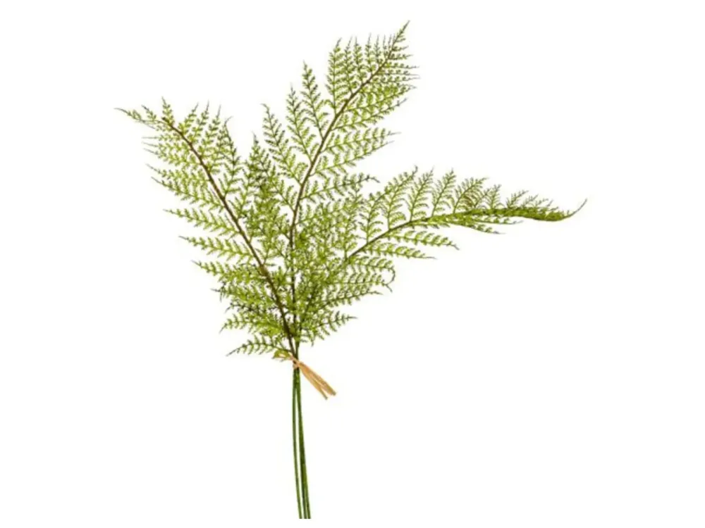 Decofinder Kunstblumen Waldfarn  | Schubiger Möbel