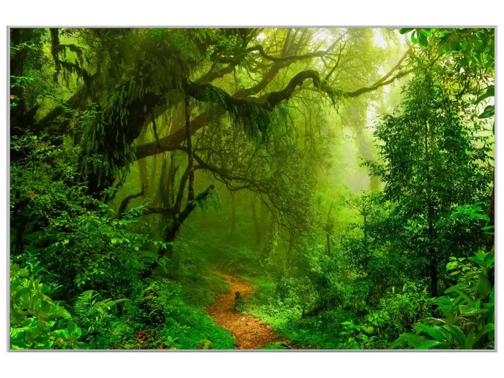 image LAND Bild mit Rahmen Woodland  | Schubiger Möbel