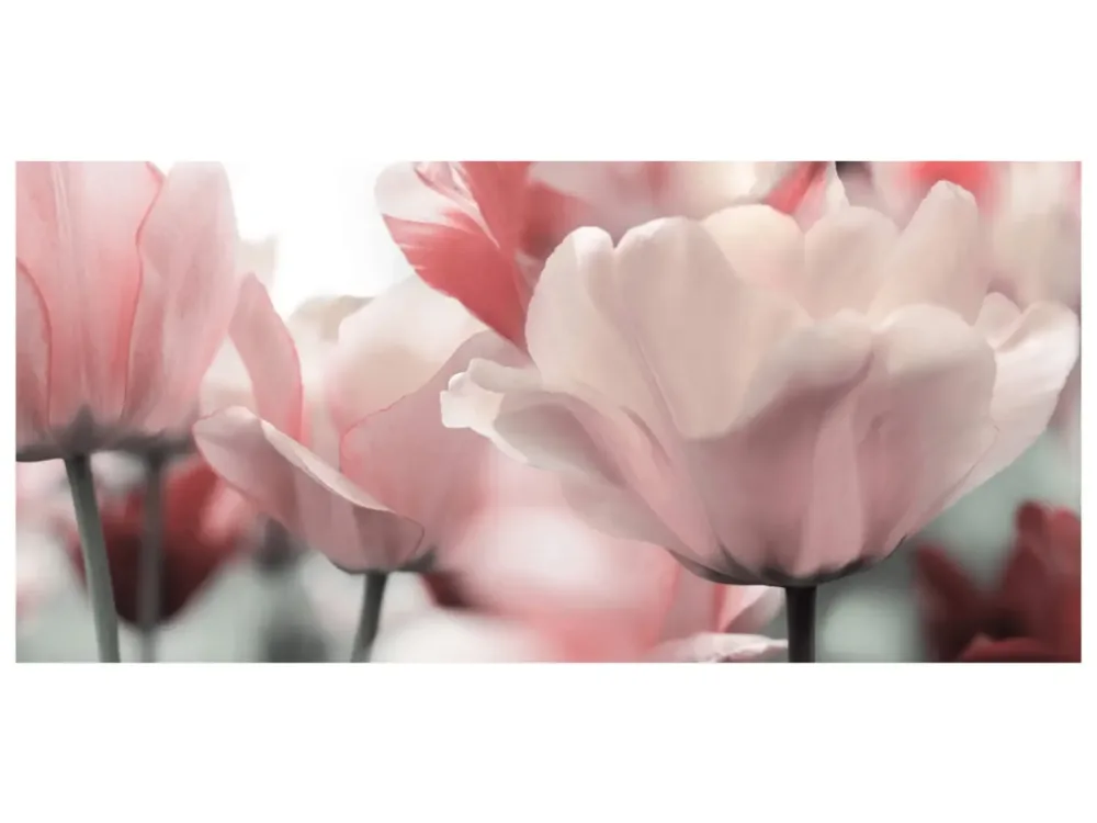 image LAND Digitaldruck auf Acrylglas Blüten in Rose  | Schubiger Möbel