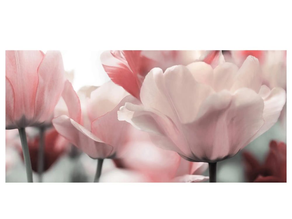 image LAND Digitaldruck auf Acrylglas Blüten in Rose  | Schubiger Möbel