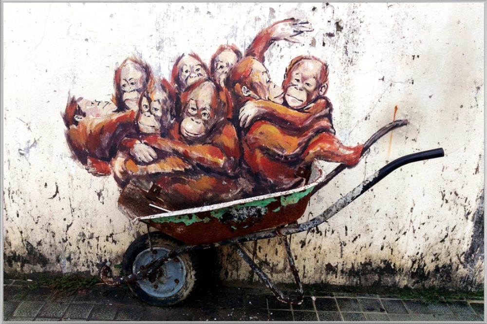 image LAND Bild mit Rahmen Street Art mit Orang-Utans  | Schubiger Möbel