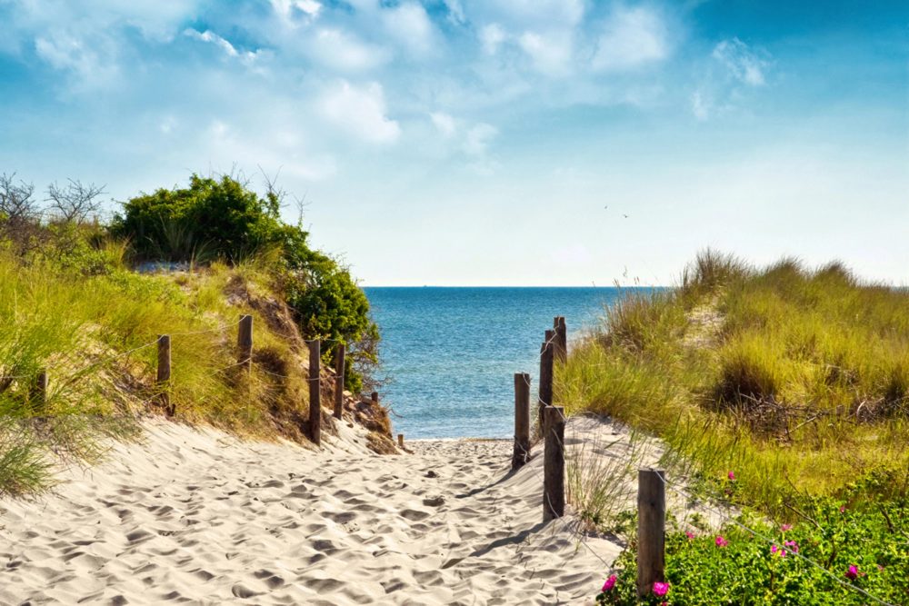 image LAND Alubild Spaziergang Zum Meer  | Schubiger Möbel