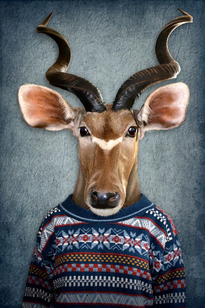 image LAND Alubild Antilope mit Pulli  | Schubiger Möbel