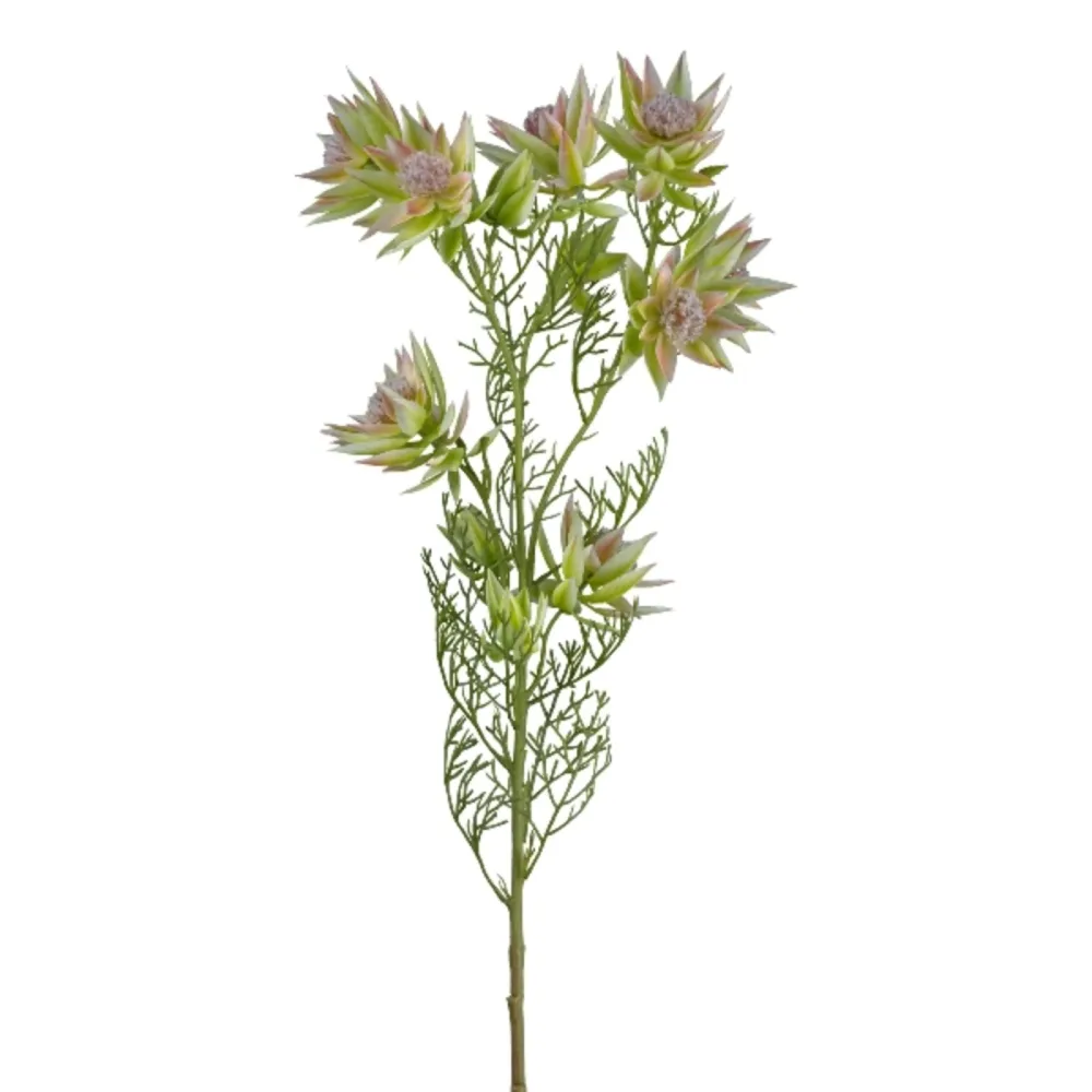 Gasper Kunstblume Proteazweig, Grün H: 78 cm  | Schubiger Möbel