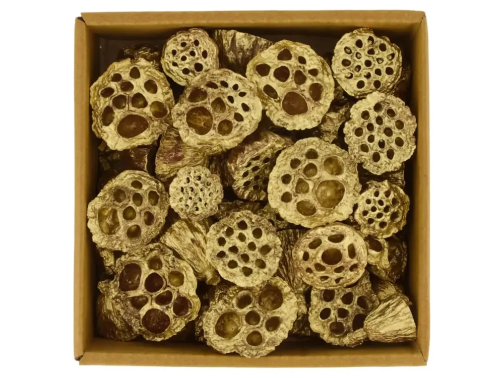 Decofinder Lotosblumen Natur Gold Gelb | Schubiger Möbel