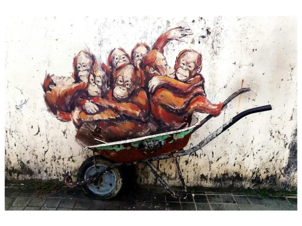 image LAND Digitaldruck auf Glas Street Art mit Orang-Utans  | Schubiger Möbel