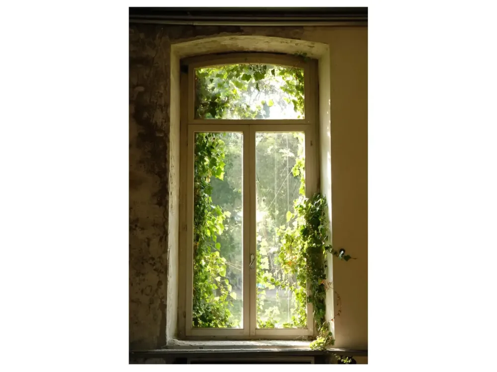 image LAND Digitaldruck auf Acrylglas Fenster mit Laub 2  | Schubiger Möbel