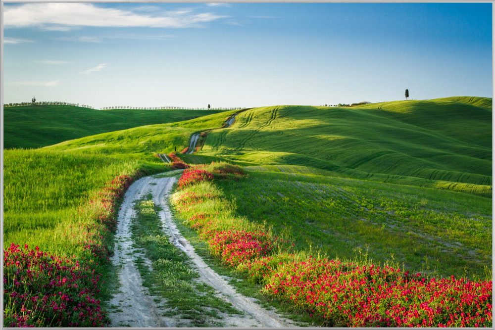 image LAND Bild mit Rahmen Wegesrand mit Mohn  | Schubiger Möbel