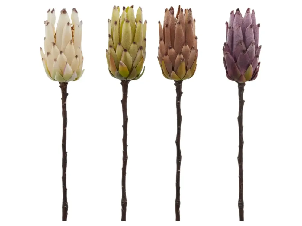 Edg Kunstblumen Protea Gemischt H: 50 cm  | Schubiger Möbel