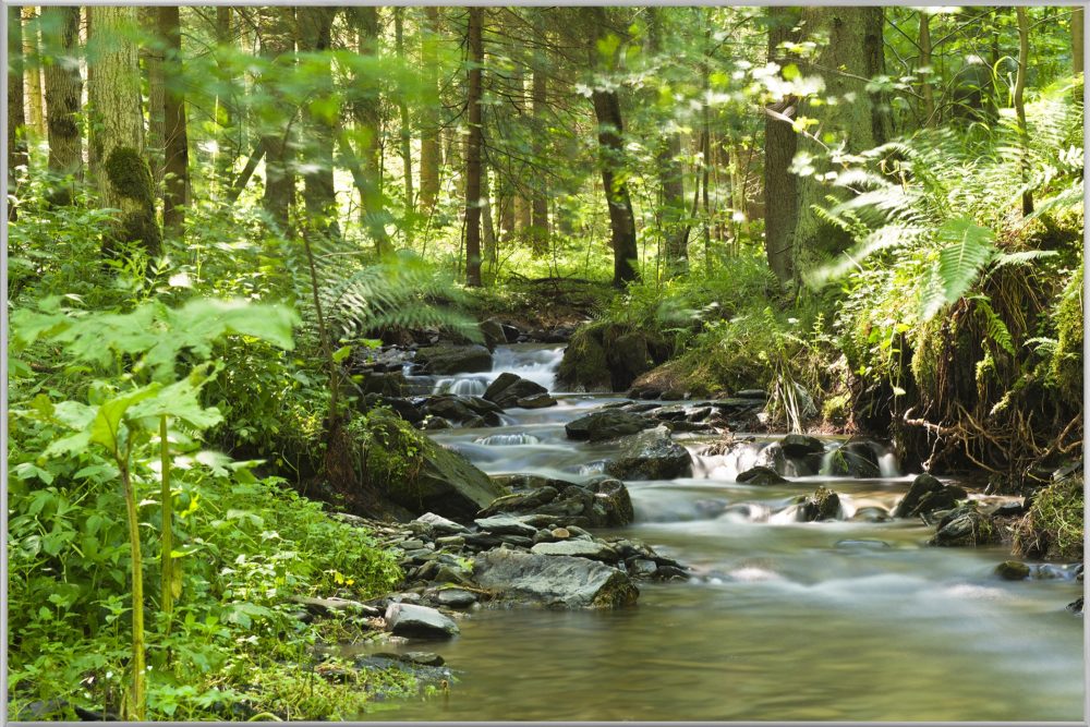 image LAND Bild mit Rahmen Flusslauf im Wald 1  | Schubiger Möbel