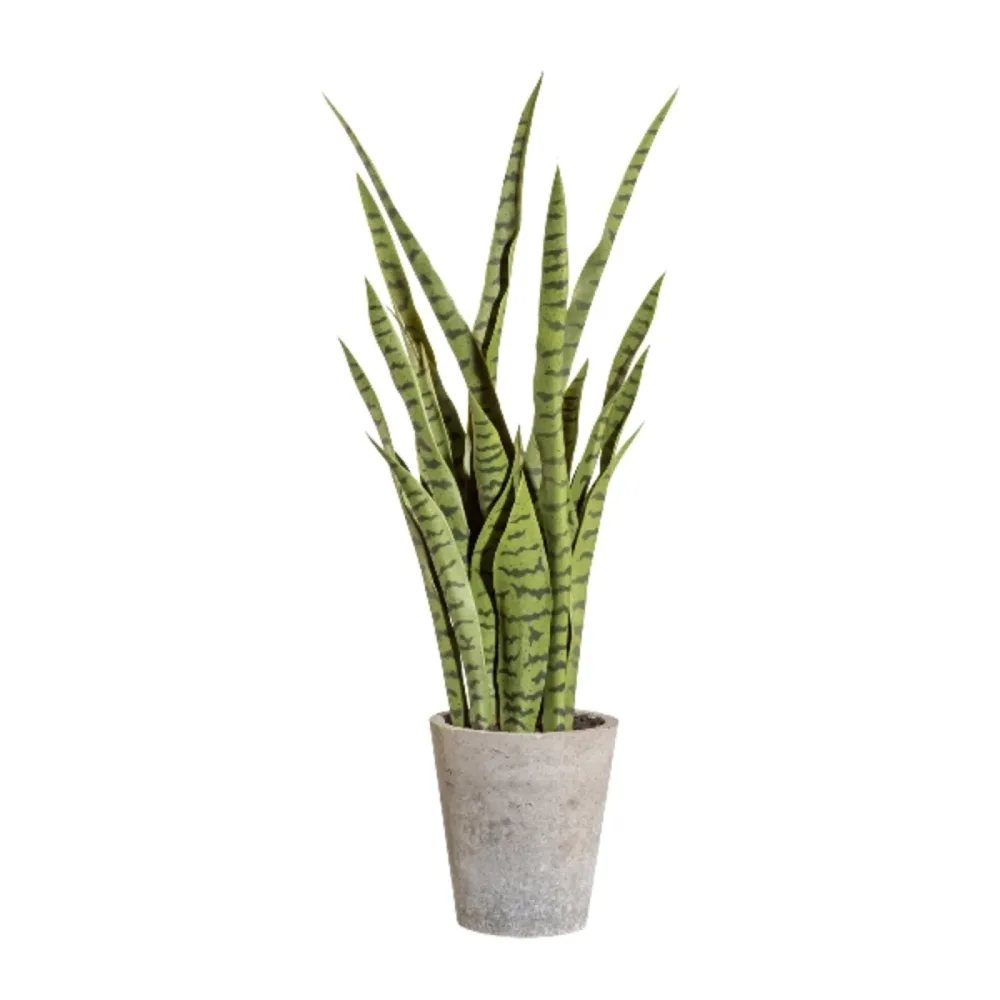 Gasper Kunstpflanze Sanservieria Grün  | Schubiger Möbel
