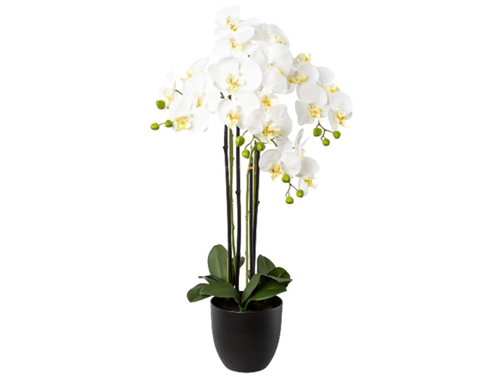Gasper Kunstpflanze Orchidee Weiss im Topf H: 83 cm  | Schubiger Möbel