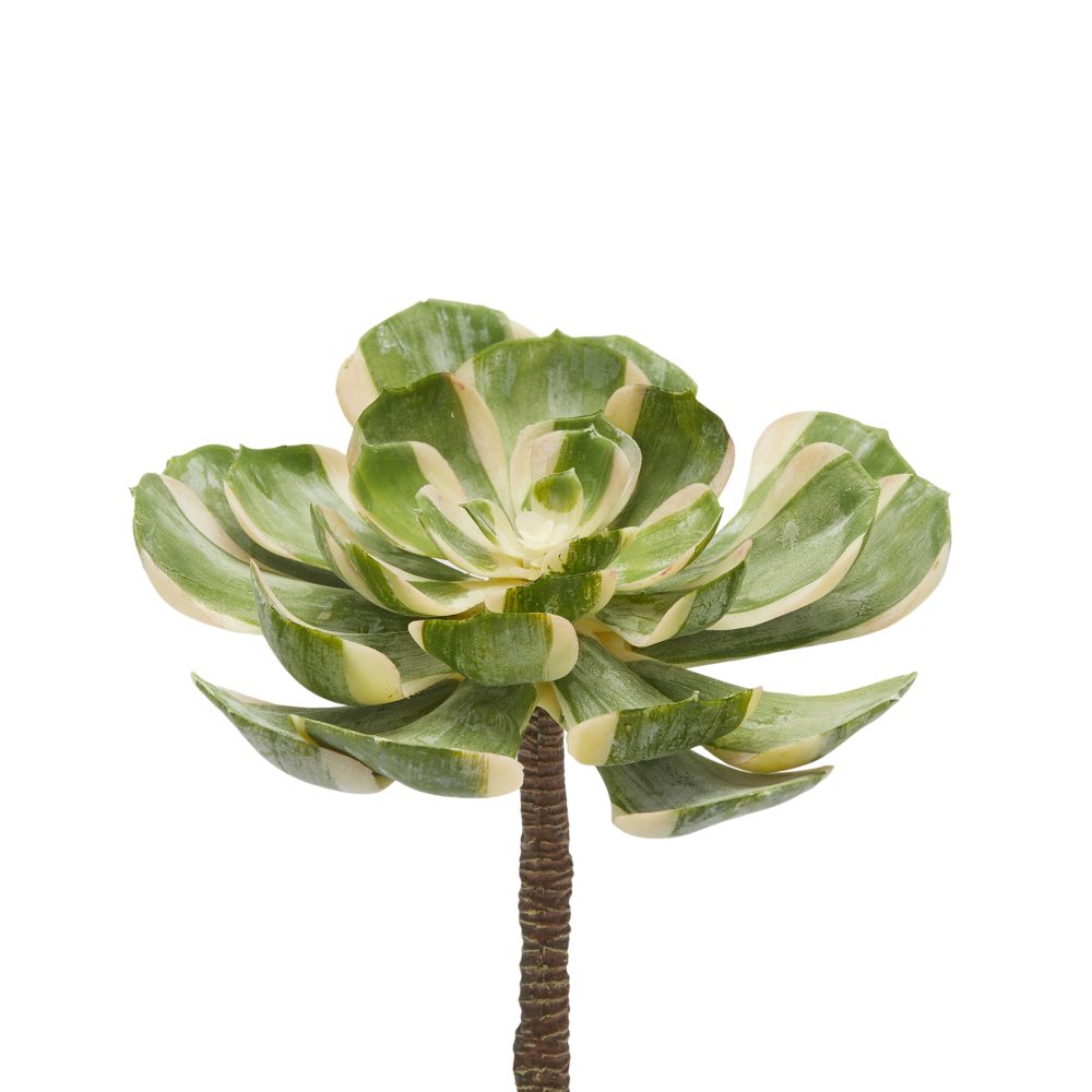 Edg Kunstblume Rosettendickblatt D: 16 cm  | Schubiger Möbel