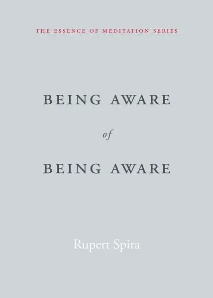 Being Aware of Being Aware