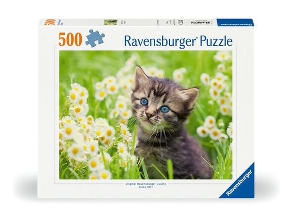 Ravensburger Puzzle Kätzchen in der Wiese 500 Teile