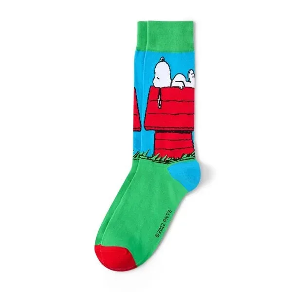 Snoopy Socken Doghouse, 42-46