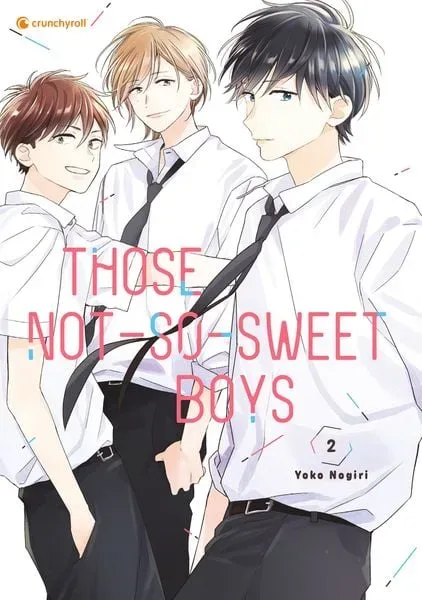 Those Not-So-Sweet Boys ? Band 2