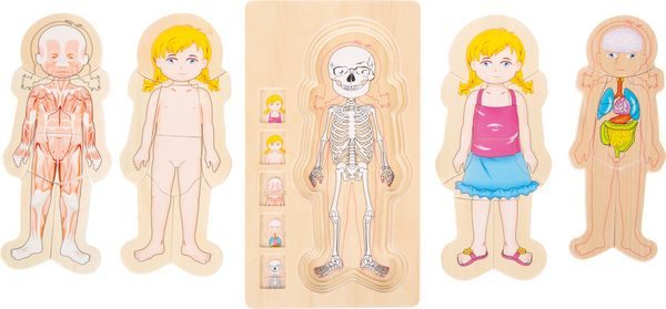 small foot® Schichtenpuzzle ANATOMIE MÄDCHEN 36-teilig aus Holz