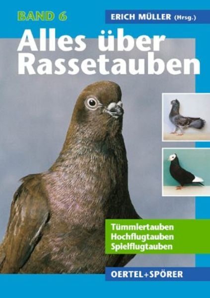 Tümmlertauben, Hochflugtauben, Spielflugtauben
