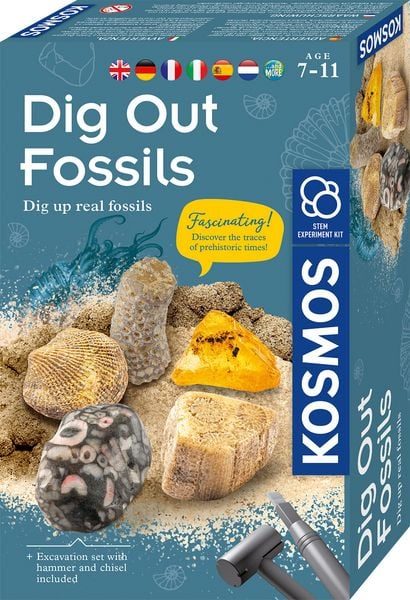 MBE Dig Out Fossils INT