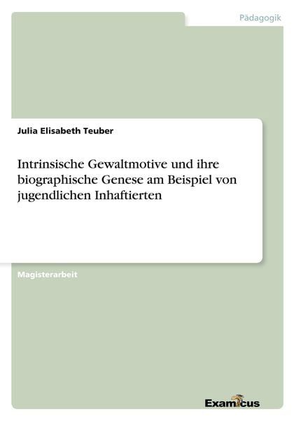 Intrinsische Gewaltmotive und ihre biographische Genese am Beispiel von jugendlichen Inhaftierten