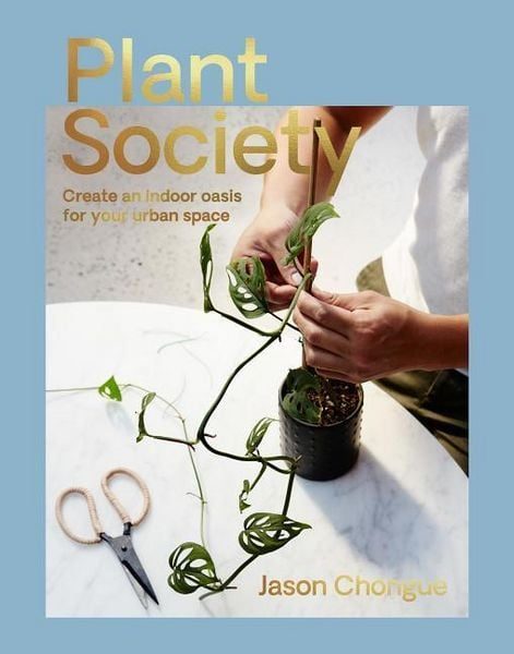 New Mags-Plant Society: Create an Indoor Oasis for your Urban Space