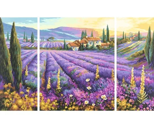 Malen nach Zahlen - Lavendelfelder (Triptychon)