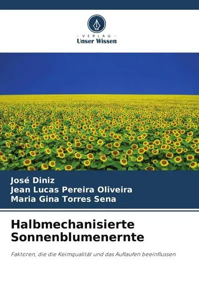 Halbmechanisierte Sonnenblumenernte