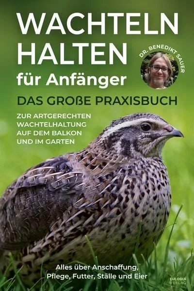 Wachteln halten für Anfänger