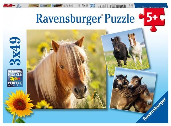 Liebe Pferde, Puzzle