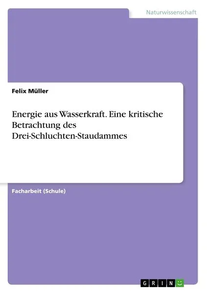 Energie aus Wasserkraft. Eine kritische Betrachtung des Drei-Schluchten-Staudammes