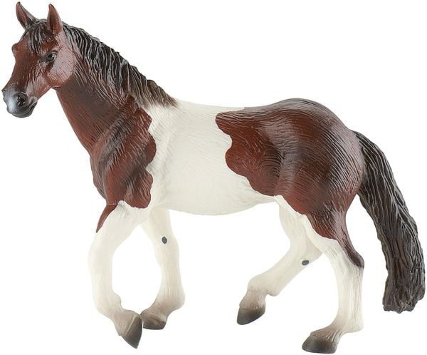 Paint Horse Stute