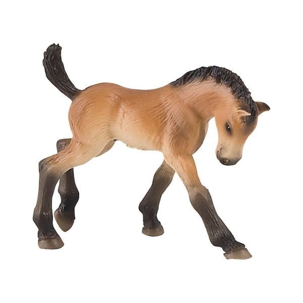 Trakehner Fohlen