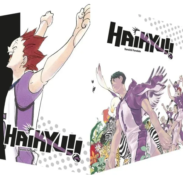 Crunchyroll Manga - Haikyu!! Sammelbox 4 - Band 31-40 im Schuber, Multicolor