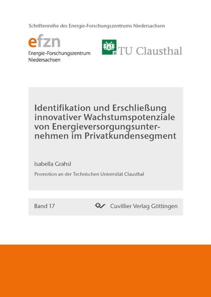 Identifikation und Erschließung innovativer Wachstumspotenziale von Energieversorgungsunternehmen im Privatkundensegment