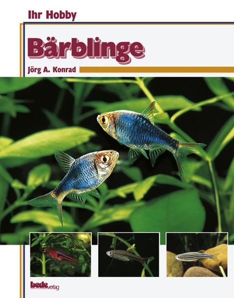 Bärblinge