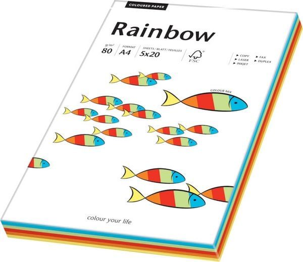 PAPYRUS Rainbow Mixpack 88043188 intensiv, 80g 100 Blatt
