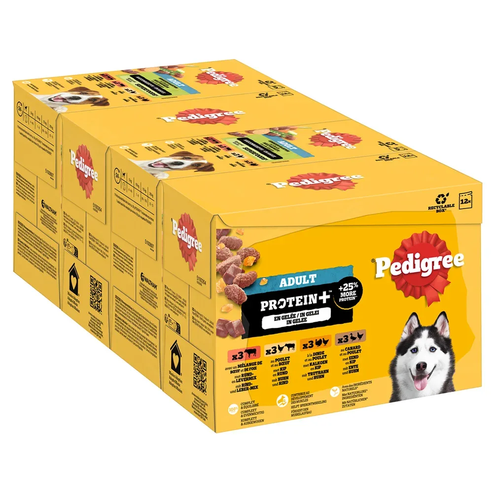 Pedigree Adult Frischebeutel Protein Plus in Gelee - Sparpaket: 48 x 85 g (4 Varietäten)