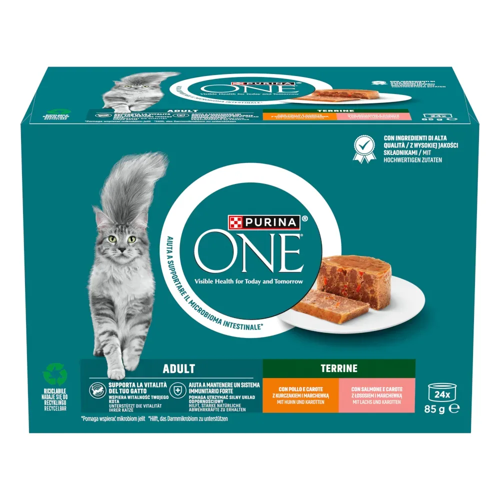 Zum Sonderpreis! 2 x PURINA ONE  - Adult Terrine Mixpaket (48 x 85 g)