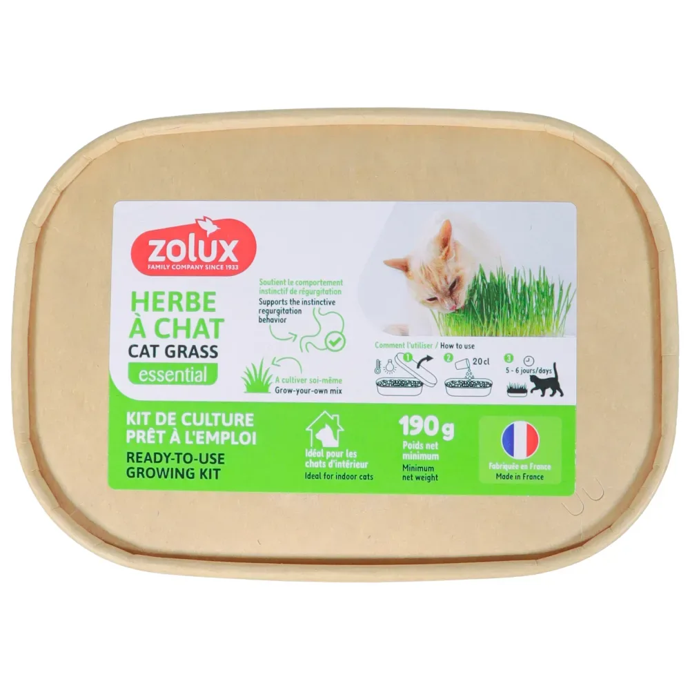 Zolux Katzengras - L 17 x B 12 x H 4,5 cm