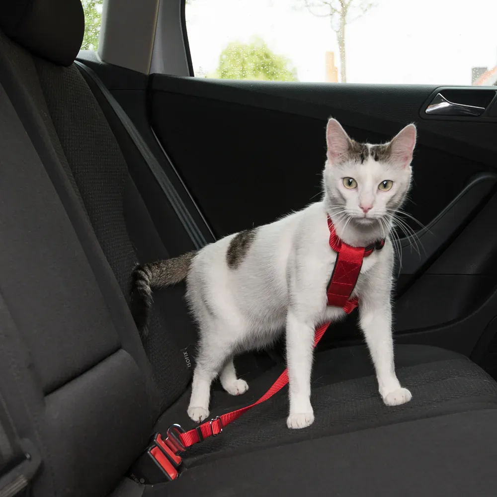 Trixie Auto-Geschirr für Katzen - rot
