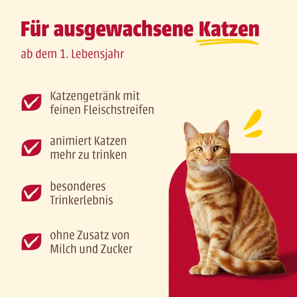 animonda Carny Cat Drink 12 x 140 ml - Mix (4 Sorten)