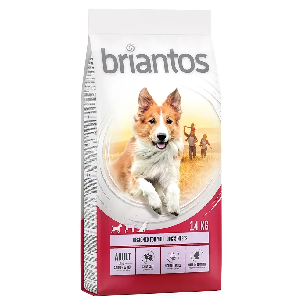 Sparpaket Briantos 2 x Grossgebinde - Adult Lachs & Reis  (2 x 14 kg)
