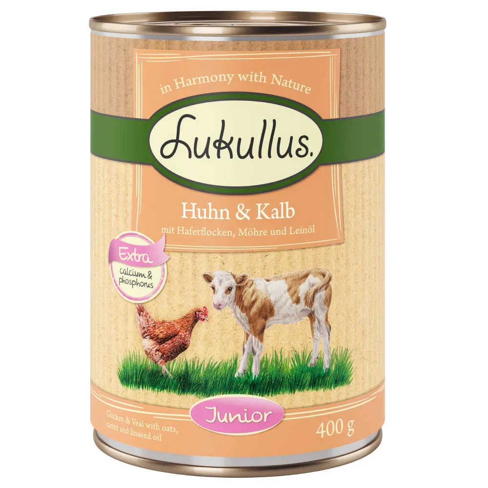 Lukullus Naturkost Junior 6 x 400 g - Mix 1 (2 Sorten)
