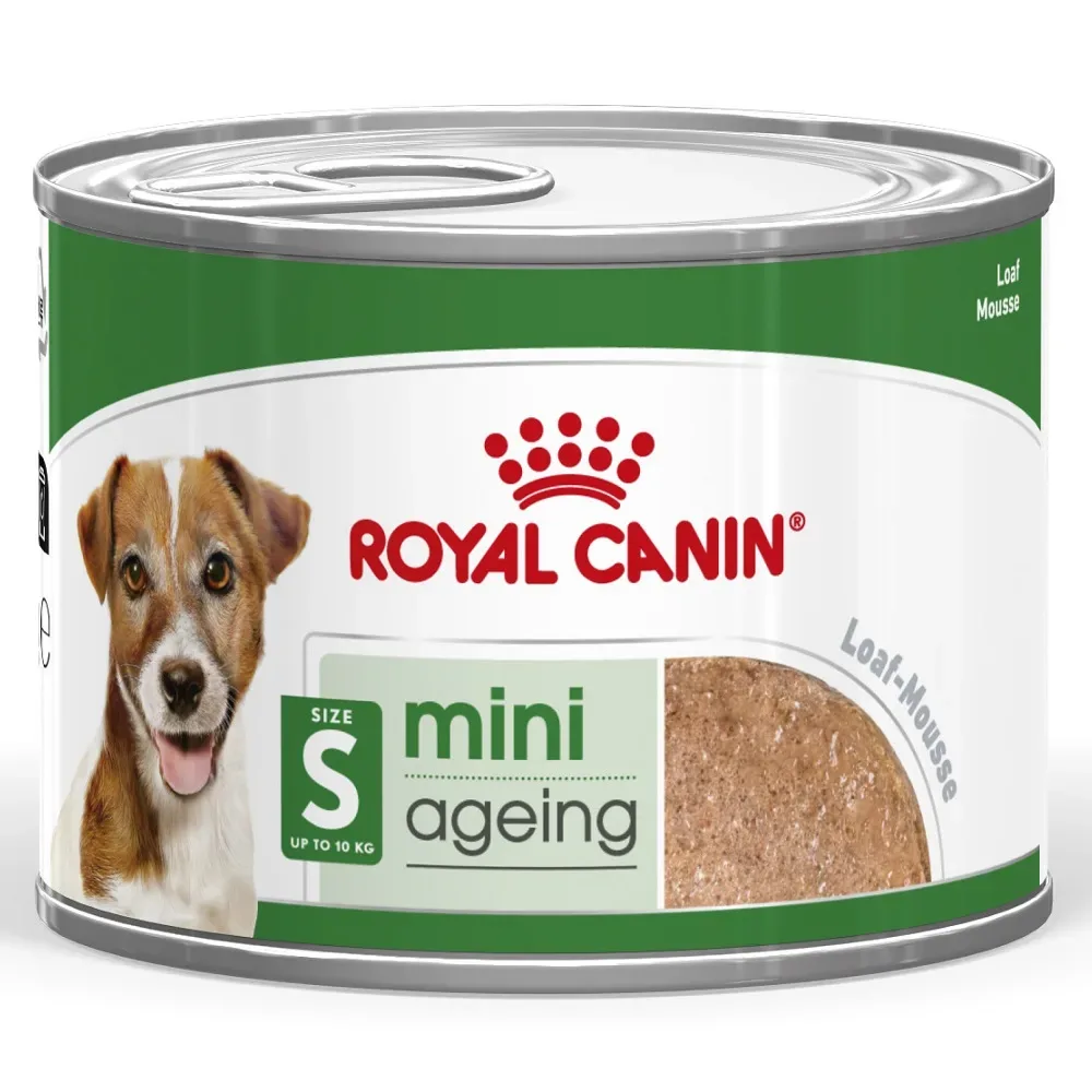 Royal Canin Mini Ageing Mousse - Sparpaket: 24 x 195 g