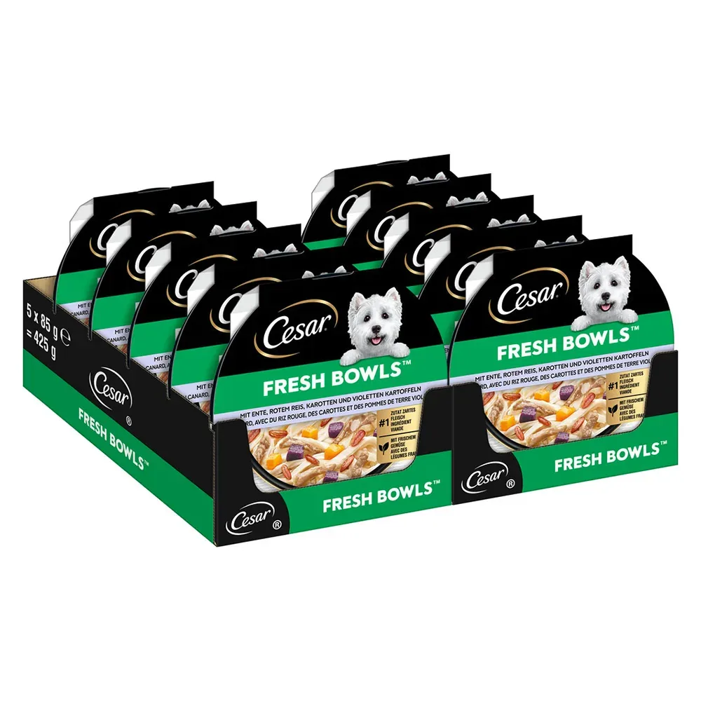 Cesar Fresh Bowls - Huhn & Ente in Sauce (24 x 85 g )