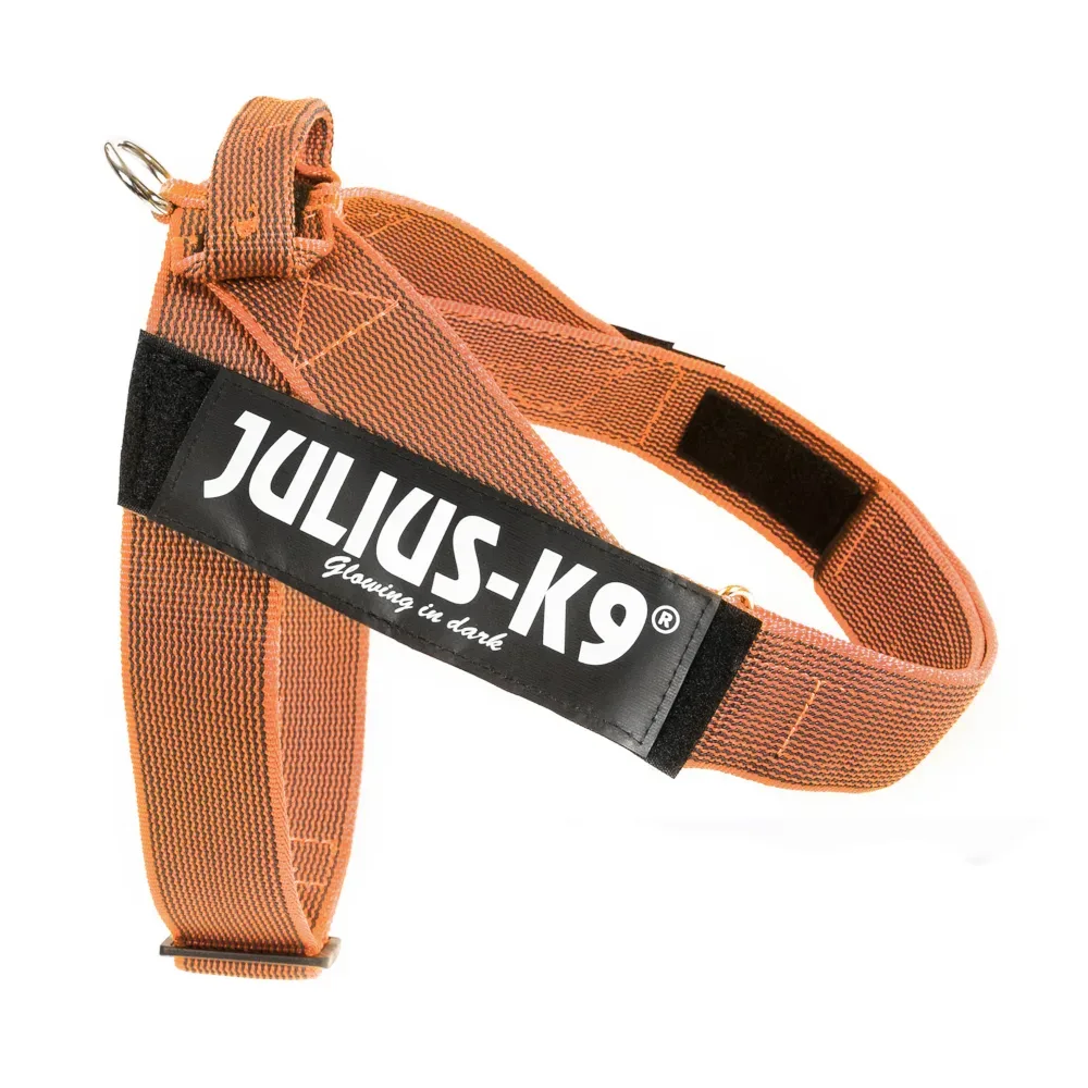 Julius-K9 IDC® Color & Grey Gurtgeschirr, orange/grau - Grösse: XL/2: Brustumfang 71 - 96 cm