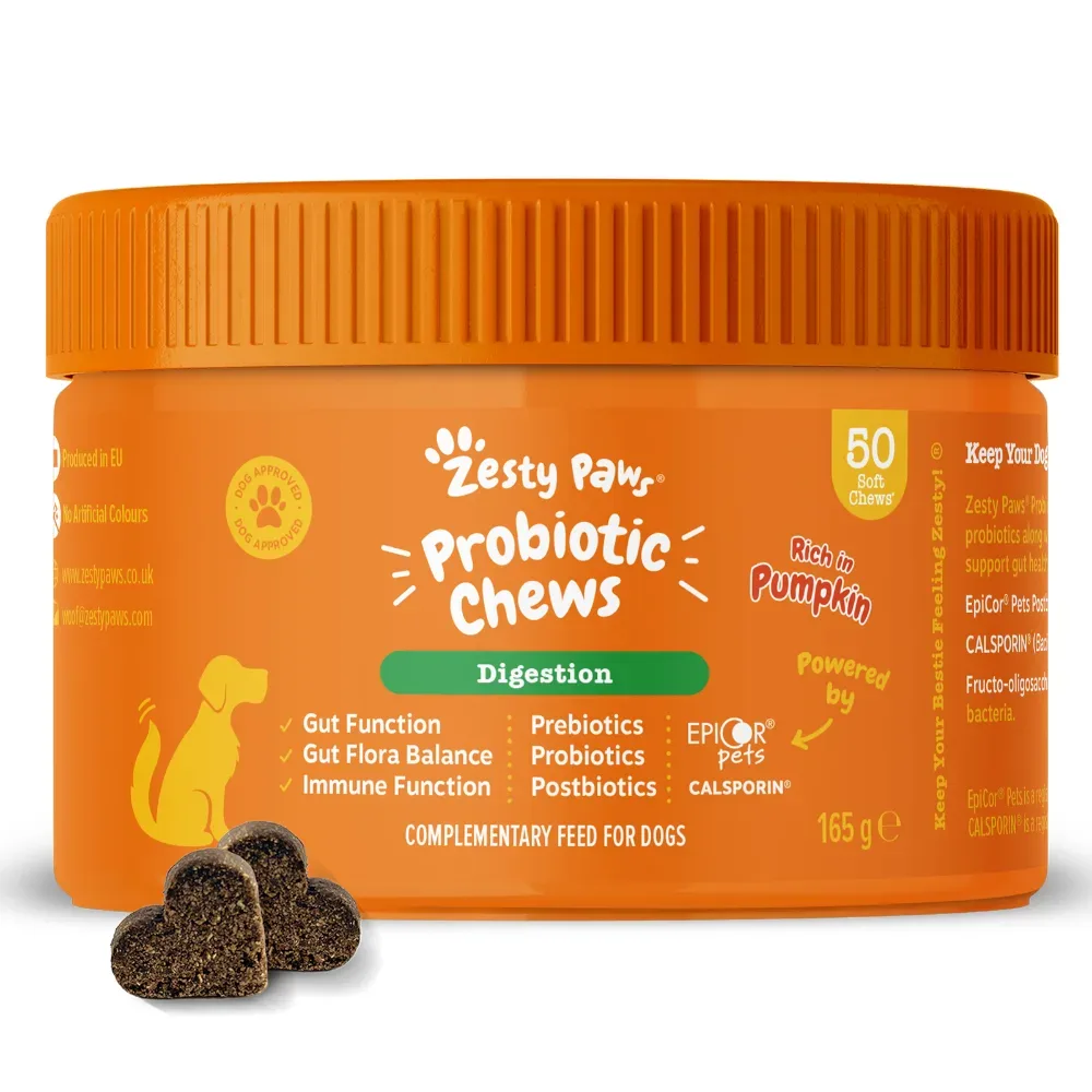 Zesty Paws Probiotic Chews Kürbis - 50 Kautabletten
