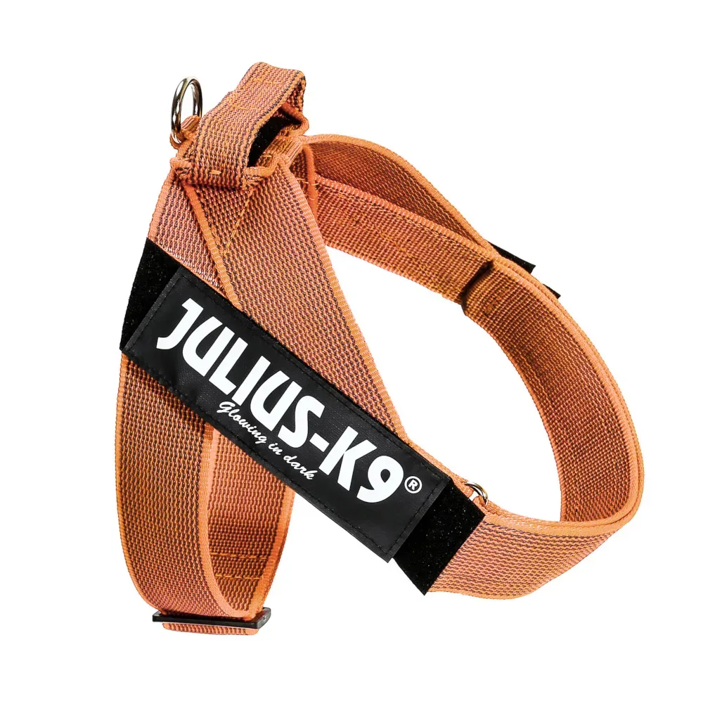 Julius-K9 IDC® Color & Grey Gurtgeschirr, orange/grau - Grösse L/1: Brustumfang 63 - 85 cm